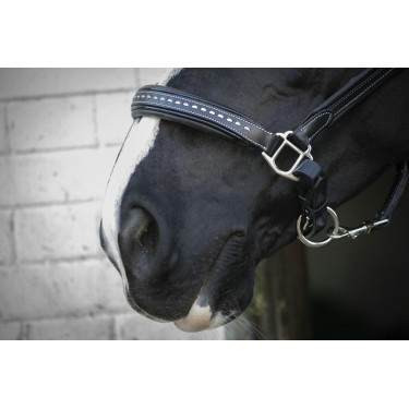 Capezzina in cuoio Pénélope Point Sellier Nero Capezzina in cuoio Pénélope Point Sellier Nero