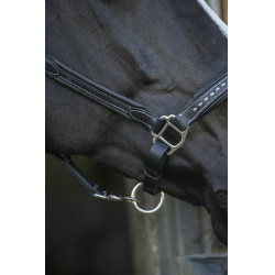 Capezzina in cuoio Pénélope Point Sellier Nero Capezzina in cuoio Pénélope Point Sellier Nero