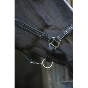 Capezzina in cuoio Pénélope Point Sellier Nero Capezzina in cuoio Pénélope Point Sellier Nero