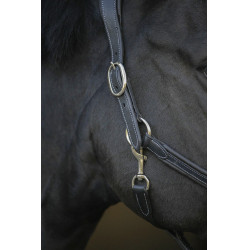 Capezzina in cuoio Pénélope Point Sellier Nero Capezzina in cuoio Pénélope Point Sellier Nero