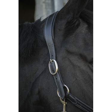 Capezzina in cuoio Pénélope Point Sellier Nero Capezzina in cuoio Pénélope Point Sellier Nero