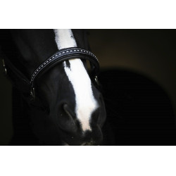 Capezzina in cuoio Pénélope Point Sellier Nero Capezzina in cuoio Pénélope Point Sellier Nero