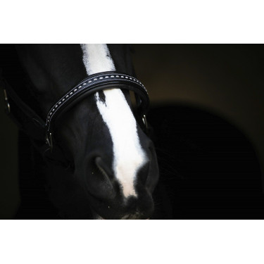 Capezzina in cuoio Pénélope Point Sellier Nero Capezzina in cuoio Pénélope Point Sellier Nero