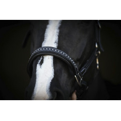 Capezzina in cuoio Pénélope Point Sellier Nero Capezzina in cuoio Pénélope Point Sellier Nero