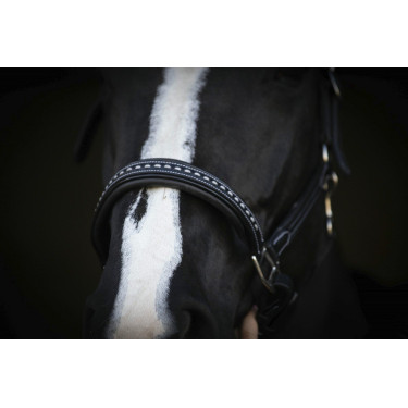 Capezzina in cuoio Pénélope Point Sellier Nero Capezzina in cuoio Pénélope Point Sellier Nero