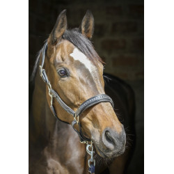 Capezzina in cuoio Pénélope Point Sellier Nero Capezzina in cuoio Pénélope Point Sellier Nero