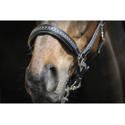 Capezzina in cuoio Pénélope Point Sellier Nero Capezzina in cuoio Pénélope Point Sellier Nero