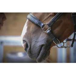 Capezzina in cuoio Pénélope Point Sellier Nero Capezzina in cuoio Pénélope Point Sellier Nero