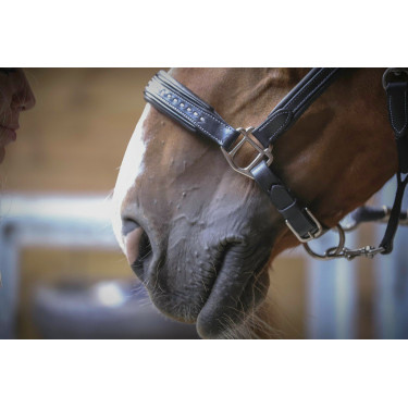 Capezzina in cuoio Pénélope Point Sellier Nero Capezzina in cuoio Pénélope Point Sellier Nero