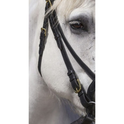 Bridon Excelsior Cavallo da Tiro Nero