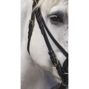 Bridon Excelsior Cavallo da Tiro Nero