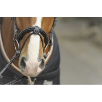 Briglia Pénélope Point Sellier Avana Marrone Briglia Pénélope Point Sellier Avana Marrone