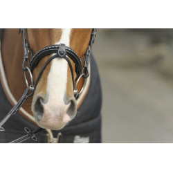 Briglia Pénélope Point Sellier Nero