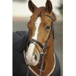 Briglia Pénélope Point Sellier Avana Marrone