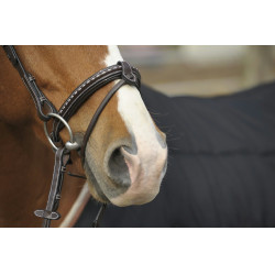 Briglia Pénélope Point Sellier Avana Marrone