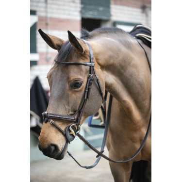 Briglia Pénélope Point Sellier Avana Marrone