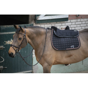 Briglia Pénélope Point Sellier Avana Marrone