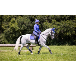 Intimo tecnico My LeMieux Campanula Blu