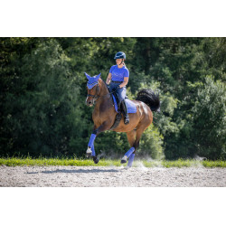 Tappetino LeMieux Suede Dressage Square Campanula Blu Tappetino LeMieux Suede Dressage Square Campanula Blu
