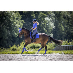 Tappetino LeMieux Suede Dressage Square Campanula Blu Tappetino LeMieux Suede Dressage Square Campanula Blu