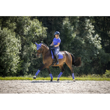 Tappetino LeMieux Suede Dressage Square Campanula Blu Tappetino LeMieux Suede Dressage Square Campanula Blu