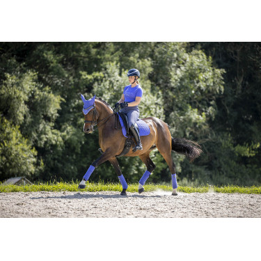 Tappetino LeMieux Suede Dressage Square Campanula Blu Tappetino LeMieux Suede Dressage Square Campanula Blu