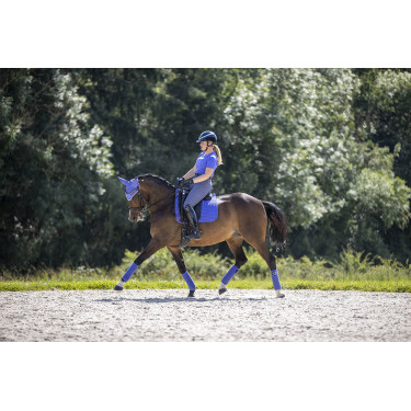 Tappetino LeMieux Suede Dressage Square Campanula Blu Tappetino LeMieux Suede Dressage Square Campanula Blu