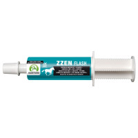 ZZEN FLASH ZZEN FLASH
