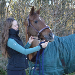 Intimo tecnico My LeMieux Saggio antico colore Blu