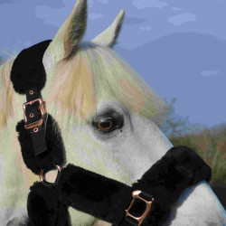 Capestro Equithème Teddy rosa oro