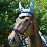 Briglia Canter Nera con strass Nero Briglia Canter Nera con strass Nero