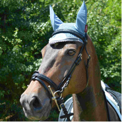 Briglia Canter Nera con strass Briglia Canter Nera con strass
