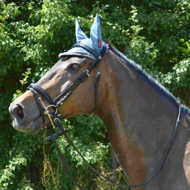 Briglia Canter Nera con strass Briglia Canter Nera con strass