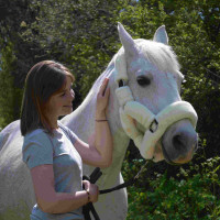 Capestro da Trasporto Flags & Cup Naturale Marrone Capestro da Trasporto Flags & Cup Naturale Marrone