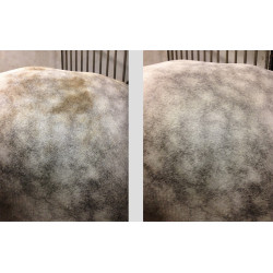 EASY SHINE MOUSS EASY SHINE MOUSS