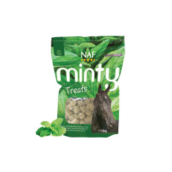Leccornie Minty Treats NAF Leccornie Minty Treats NAF