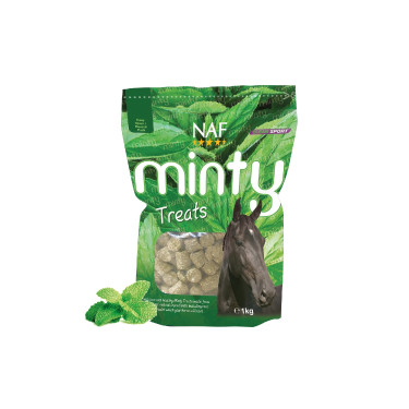 Leccornie Minty Treats NAF Leccornie Minty Treats NAF
