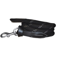 Longe corde Canter fibbie...