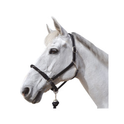 Capestro in corda Canter fibbie bianche Capestro in corda Canter fibbie bianche