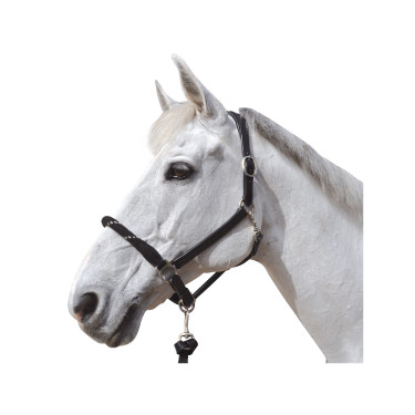 Capestro in corda Canter fibbie bianche Capestro in corda Canter fibbie bianche