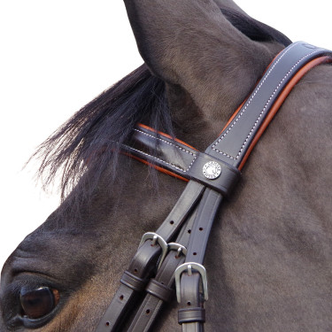 Bridon Canter Alme Marrone