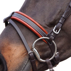 Bridon Canter Alme Marrone