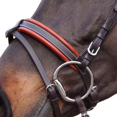 Bridon Canter Alme Marrone