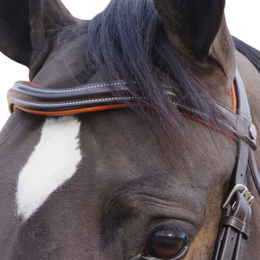 Bridon Canter Alme Marrone
