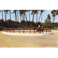 Cerchio di guida in resina...