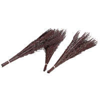 Mazzo di betulla La Gée