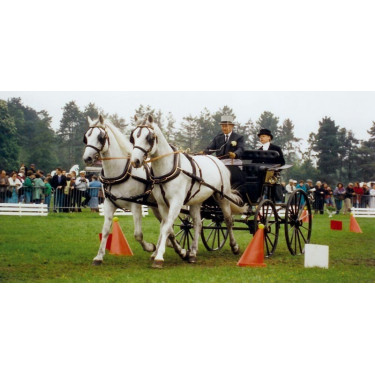 Set di coni e sfere per attacchi La Gée