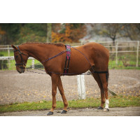 Redini ausiliarie con...