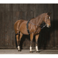 Redini ausiliarie con...