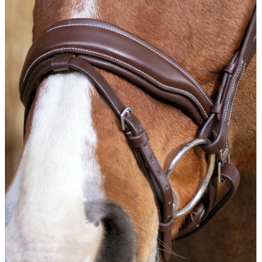 Bridon equitazione elegante Norton Pro Miss
